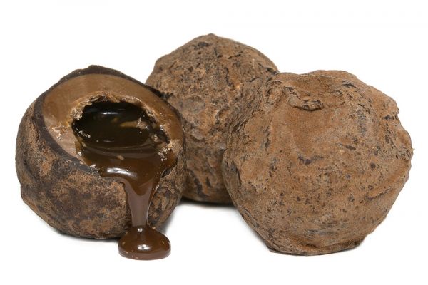 Chocolates on White Background