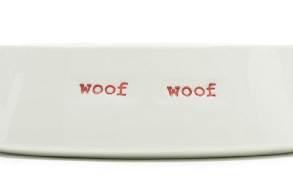 Dog Bowl on White Background for Creative Industries