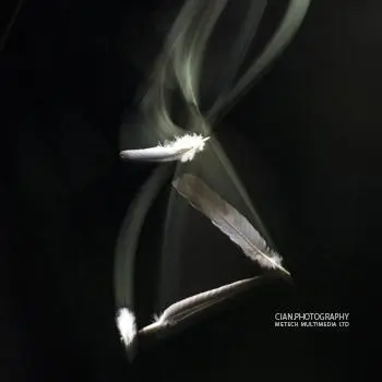 Feathers Photoshoot at Metech Multimedia